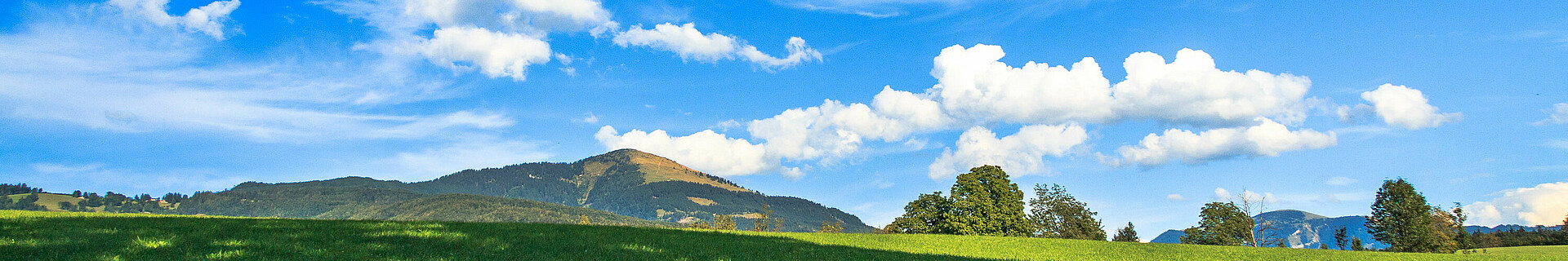 2015, Bad Vigaun, Bäume, Landschaft